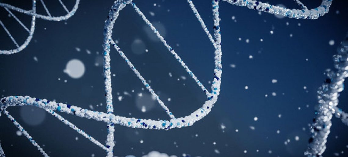 Pregunta por Nuestros Perfiles y Paquetes