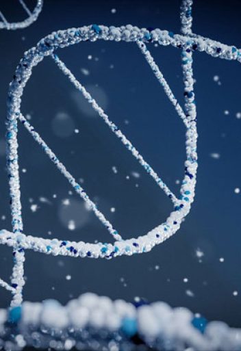 Pregunta por Nuestros Perfiles y Paquetes